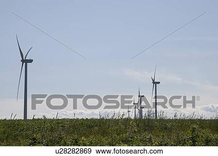 Wind turbines, near East Point, Prince Edward Island View Large Photo Image Stock Photo - Wind turbines, near East Point, Prince Edward Island. Fotosearch