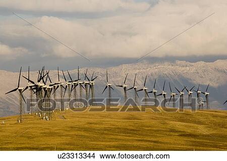 Windmills used to generate electrical power near Pincher Creek in southern Alberta, Canada View Large Photo Image Picture - Windmills used to generate electrical power near Pincher Creek in southern Alberta, Canada. Fotosearch