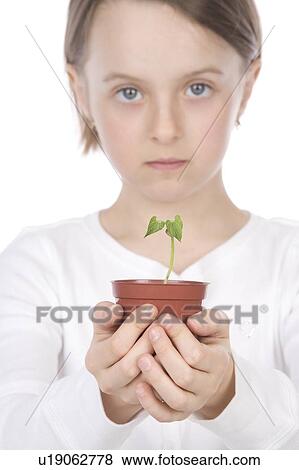 9 year old girl with small potted plant in her hands View Large Photo Image Stock Photo - 9 year old girl with small potted plant in her hands. Fotosearch