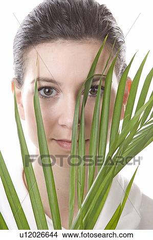 face of a young woman behind a leaf View Large Photo Image Picture - face of a young woman behind a leaf. Fotosearch
