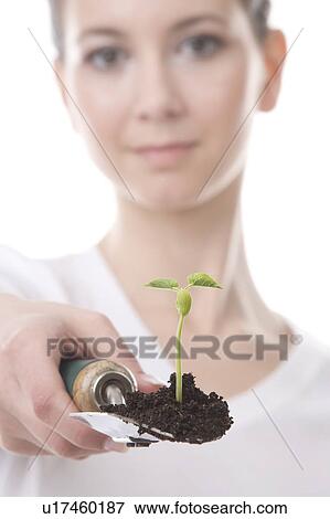 Stock Photo - face of a young woman with a spatula and small plant. Fotosearch