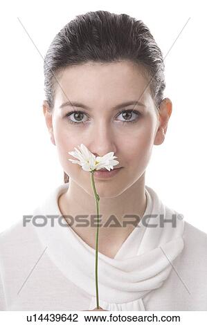 face of a young woman with flower View Large Photo Image Stock Image - face of a young woman with flower. Fotosearch