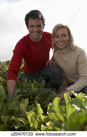 Stock Image - Couple kneeling in rows of vegetables on organic farm, Ladner, British Columbia. Fotosearch