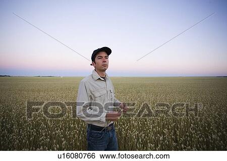 Stock Photograph - Farmer looks off right, in front of field of canary seed, Saskatchewan, Canada. Fotosearch
