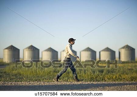 Farmer walks along gravelled road in front of row of steel grain bins, Saskatchewan, Canada View Large Photo Image Picture - Farmer walks along gravelled road in front of row of steel grain bins, Saskatchewan, Canada. Fotosearch