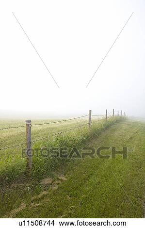 Fenceline in rural Saskatchewan, Canada View Large Photo Image Picture - Fenceline in rural Saskatchewan, Canada. Fotosearch