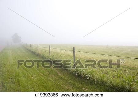 Stock Photograph - Fenceline in rural Saskatchewan, Canada. Fotosearch