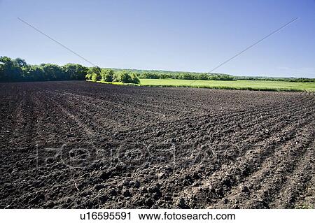 Field lying fallow, part of crop rotation cycle, Saskatchewan, Canada View Large Photo Image Stock Image - Field lying fallow, part of crop rotation cycle, Saskatchewan, Canada. Fotosearch