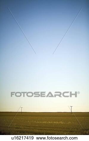 Hydro electric power lines across field are dwarfed by prairie sky, Saskatchewan, Canada View Large Photo Image Stock Photo - Hydro electric power lines across field are dwarfed by prairie sky, Saskatchewan, Canada. Fotosearch