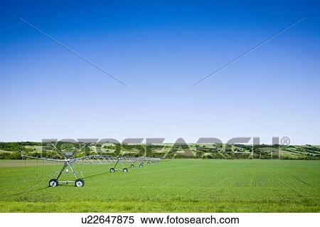 Irrigation, Lumsden, Saskatchewan, Canada View Large Photo Image Stock Photography - Irrigation, Lumsden, Saskatchewan, Canada. Fotosearch