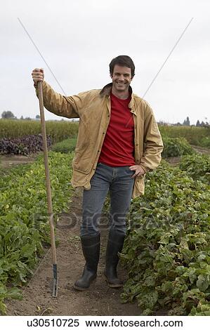 Man holding rake in field of organic vegetables, British Columbia, Canada View Large Photo Image Stock Photography - Man holding rake in field of organic vegetables, British Columbia, Canada. Fotosearch