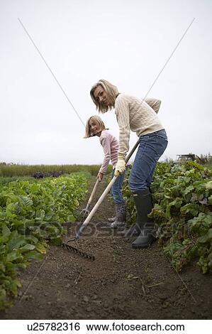 Stock Photograph - Mother and daughter gardening together in organic garden, Ladner, British Columbia, Canada. Fotosearch