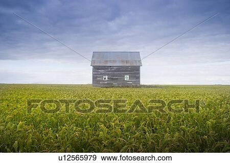 Stock Photo - Old house, Manitoba, Canada. Fotosearch