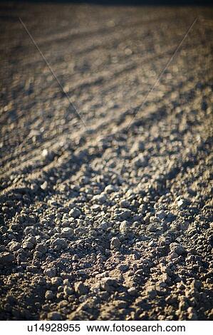 Stock Photography - Soil, Saskatchewan, Canada. Fotosearch