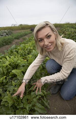 Stock Image - Woman looking at plants in organic garden, Ladner, British Columbia. Fotosearch