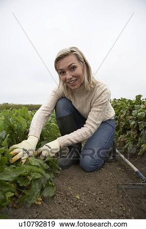 Stock Photo - Woman looking at plants in organic garden, Ladner, British Columbia. Fotosearch