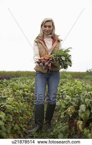 Woman with a bundle of fresh organic vegetables, Ladner, British Columbia, Canada View Large Photo Image Picture - Woman with a bundle of fresh organic vegetables, Ladner, British Columbia, Canada. Fotosearch