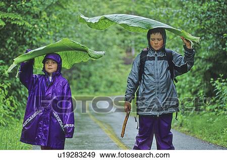Stock Photo - Boy, 7, and girl, 4, hold giant Skunk Cabbage leaves as umbrellas, Whistler, BC Canada. Fotosearch