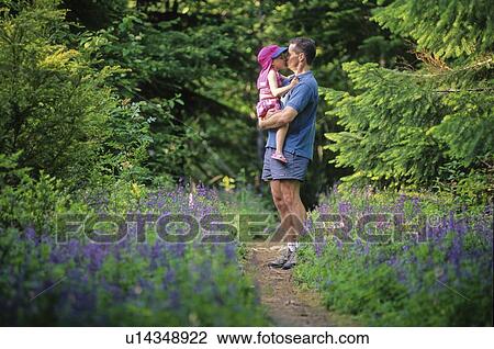 Stock Image - Dad holds daughter in arms, kiss, in forest with lupin flowers, Whistler, BC. Fotosearch