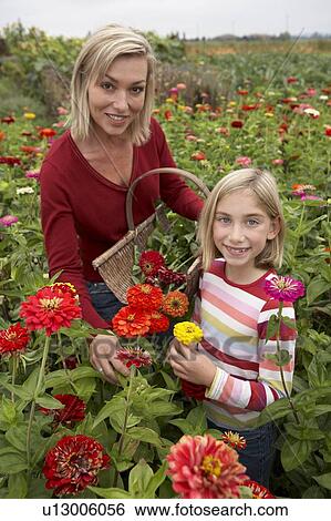 Mother and daughter in a field of organic flowers, Ladner, British Columbia, Canada View Large Photo Image Stock Photograph - Mother and daughter in a field of organic flowers, Ladner, British Columbia, Canada. Fotosearch