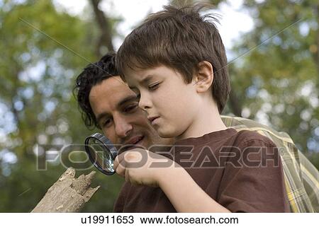 Stock Image - Six year old boy and father look through magnifying glass at rooting log, Assiniboine Park, Winnipeg, Canada. Fotosearch