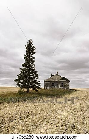 An abandoned farm house, Saskatchewan View Large Photo Image Stock Image - An abandoned farm house, Saskatchewan. Fotosearch