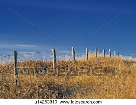 Barbed wire fence and cropland near Linden, Alberta, Canada View Large Photo Image Stock Image - Barbed wire fence and cropland near Linden, Alberta, Canada. Fotosearch