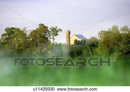 Barn off in the distance, Canada, Ontario, Jerseyville View Large Photo Image Stock Image - Barn off in the distance, Canada, Ontario, Jerseyville. Fotosearch