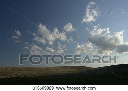 Stock Photo - Evening sun over farmland; Canada, Manitoba, Erickson. Fotosearch
