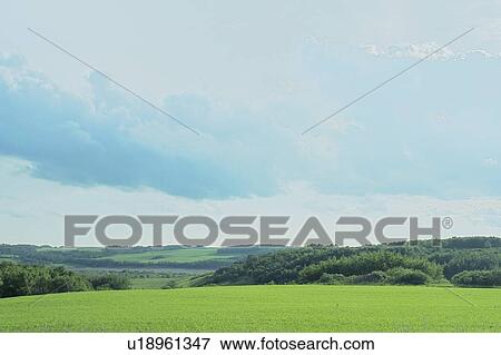 Stock Photo - Farmland; Canada, Manitoba, Minnedosa. Fotosearch