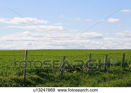 Fence on farmland. View Large Photo Image Stock Photo - Fence on farmland.. Fotosearch