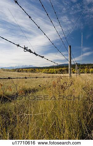 Stock Photograph - Fence through rural farmland with snowcapped mountains in the background, Clinton, BC, Canada. Fotosearch