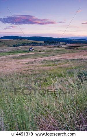Rural farmland and an abandoned farmhouse; Canada, British Columbia, Bridesville, Boundary Country View Large Photo Image Stock Photo - Rural farmland and an abandoned farmhouse; Canada, British Columbia, Bridesville, Boundary Country. Fotosearch