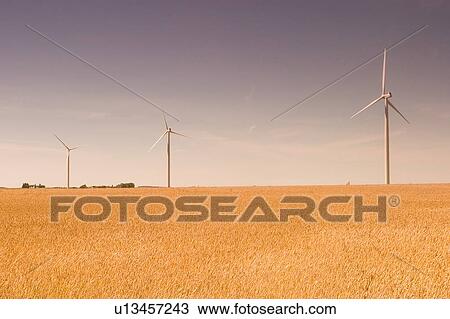 Windmills, Manitoba, Canada View Large Photo Image Stock Image - Windmills, Manitoba, Canada. Fotosearch