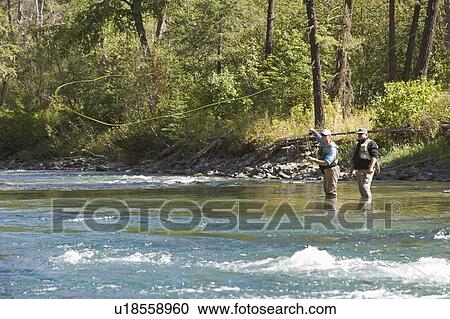 Stock Image - Fly-fishing guide, Russ Trand, fly-fishing with client on tributary of Elk River near Fernie, Elk Valley, East Kootenays, British Columbia, Canada.. Fotosearch