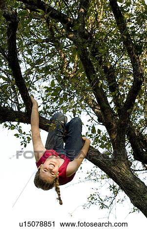 Stock Image - Twelve year old girl hanging upside down from branch of crabapple tree, Winnipeg, Canada. Fotosearch