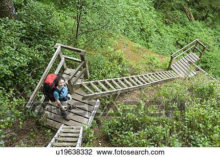 Stock Image - Woman (20-25) climbing wooden ladders along a trail in an old-growth coastal forest, West Coast Trail, Pacific Rim National Park Reserve, BC. Fotosearch