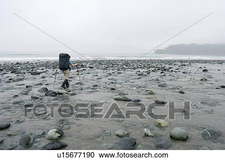 Stock Image - Woman (20-25) hopping across a creek with a large backpack on with mist in the background, West Coast Trail, Pacific Rim National Park Reserve, BC. Fotosearch