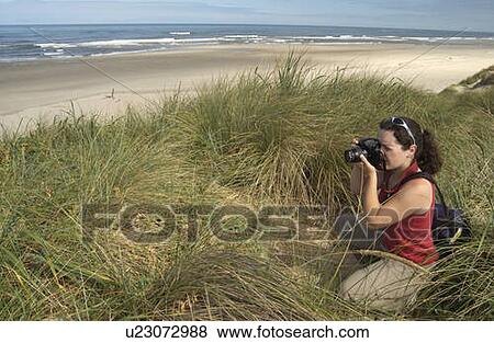 Stock Photo - Woman (20-25) photographing on a sandy beach with grasses, Oregon Dunes National Recreation Area. Fotosearch
