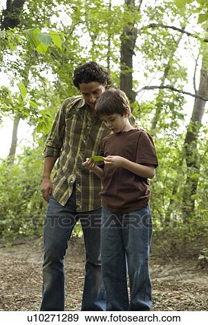 Young boy and father in woods look at leaf, Assiniboine Park, Winnipeg, Canada View Large Photo Image Stock Photo - Young boy and father in woods look at leaf, Assiniboine Park, Winnipeg, Canada. Fotosearch