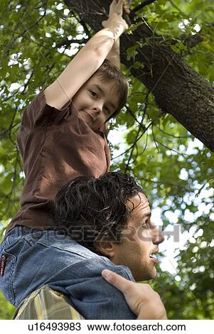 Young boy on shoulders of father grabs branches above, Assiniboine Park, Winnipeg, Canada View Large Photo Image Stock Image - Young boy on shoulders of father grabs branches above, Assiniboine Park, Winnipeg, Canada. Fotosearch