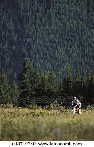 young man mountain biking on Wigwam Flats near Fernie, BC, Canada View Large Photo Image Stock Image - young man mountain biking on Wigwam Flats near Fernie, BC, Canada. Fotosearch