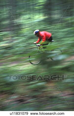 Stock Photo - Young woman mountain biking on Minnesing Trail, Algonquin Park, Ontario, Canada. Fotosearch