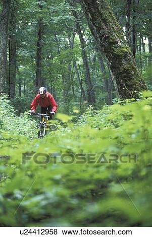 young woman mountain biking on Minnesing Trail, Algonquin Park, Ontario, Canada View Large Photo Image Stock Photo - young woman mountain biking on Minnesing Trail, Algonquin Park, Ontario, Canada. Fotosearch