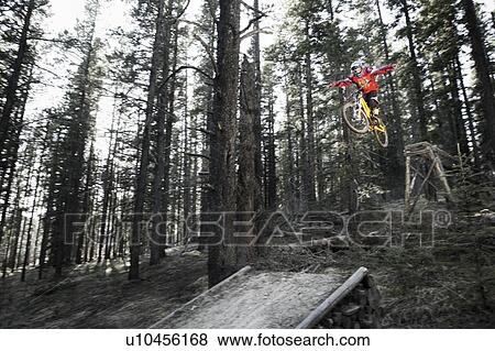 Stock Photo - Biker with outstretched arms mid-jump in forest; Canada, Alberta, Quirk Creek. Fotosearch