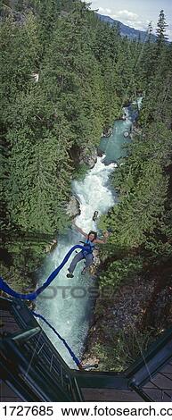 Bungee Jumping, Whistler, BC, Canada View Large Photo Image Stock Photography - Bungee Jumping, Whistler, BC, Canada. Fotosearch