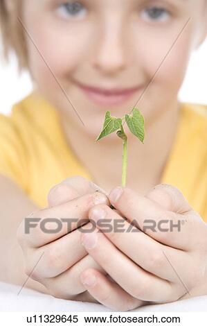 9 year old girl with the small plant in her hands View Large Photo Image Stock Photography - 9 year old girl with the small plant in her hands. Fotosearch