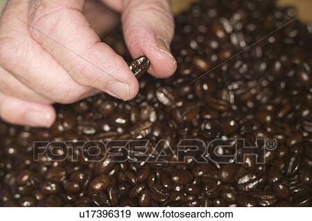 Espresso coffee beans, B. C. View Large Photo Image Stock Photo - Espresso coffee beans, B. C.. Fotosearch
