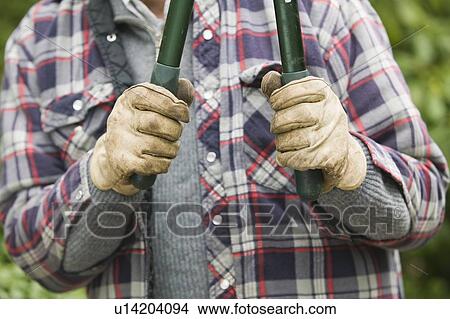 Picture - Hands and pruning shears, B. C.. Fotosearch