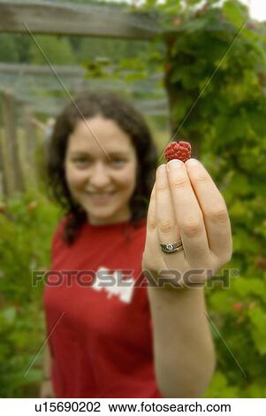 Woman (20-25) holding a freshly pick raspberry up in front of her face, Victoria, BC View Large Photo Image Stock Image - Woman (20-25) holding a freshly pick raspberry up in front of her face, Victoria, BC. Fotosearch